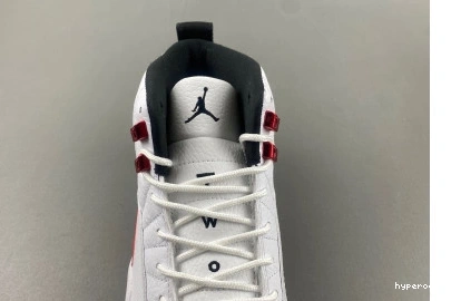 Hyperoad JORDAN AIR 12 “TWIST” 1120